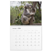 Koalas Calendar Kalender (Jan 2026)