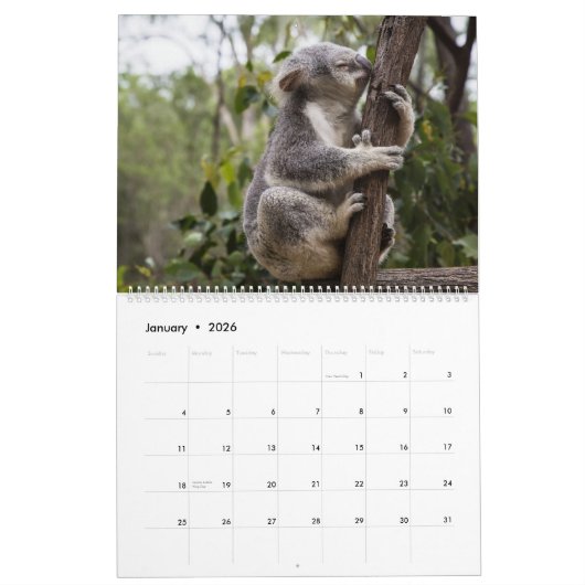 Koalas Calendar Kalender (Jan 2026)