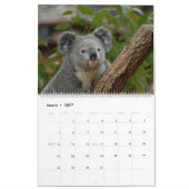 Koalas Calendar Kalender (Mar 2027)