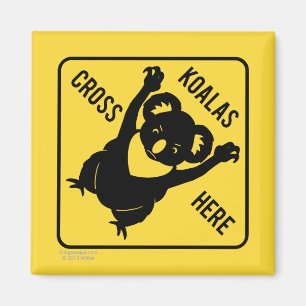 Koalas Cross Hier Magnet