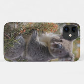 Koala's Haven: Genesteld in een Grevillea Tree Case-Mate iPhone Case (Achterkant (horizontaal))