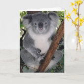 Koala's Kaart (Gele Bloem)