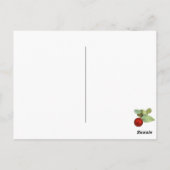 Koalas-kerstBriefkaart Briefkaart (Achterkant)