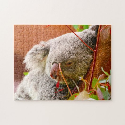 Koala's. Legpuzzel (Horizontaal)