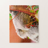 Koala's. Legpuzzel (Verticaal)