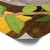 Koala's op boomtakken poster (Hoek)