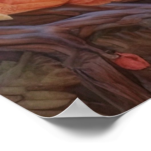 Koala's paar poster (Hoek)