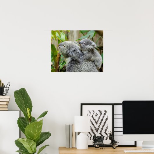 Koalas Poster (Thuiskantoor)
