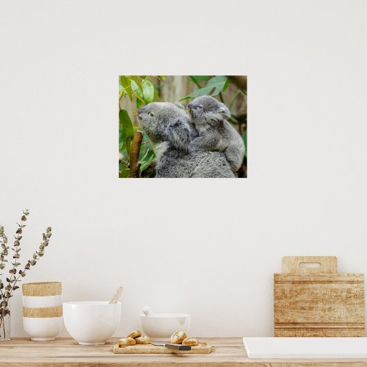 Koalas Poster (Keuken)