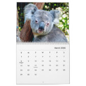 Koalas Wall Calendar Kalender (Mar 2026)
