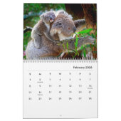 Koalas Wall Calendar Kalender (Feb 2026)
