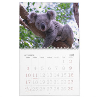 Koalendar  kalender