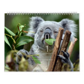 Koalendar  kalender (Hoes)