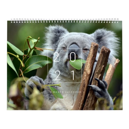 Koalendar  kalender (Hoes)
