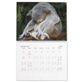 Koalendar  kalender (Feb 2026)