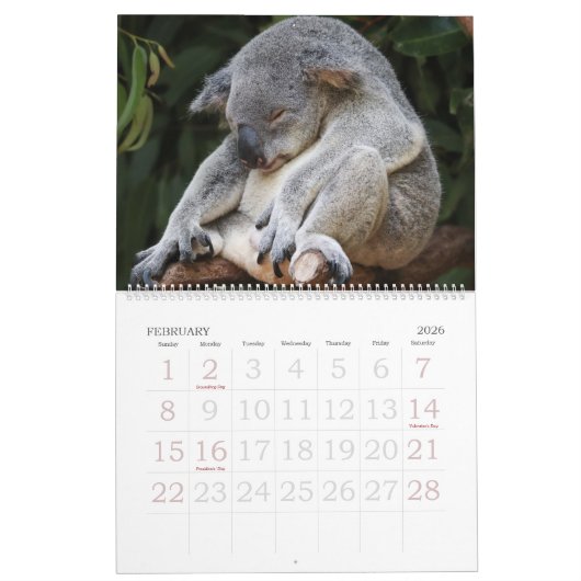 Koalendar  kalender (Feb 2026)