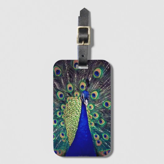 Kobalt Blue Peacock Bagagelabel (Voorkant (verticaal))