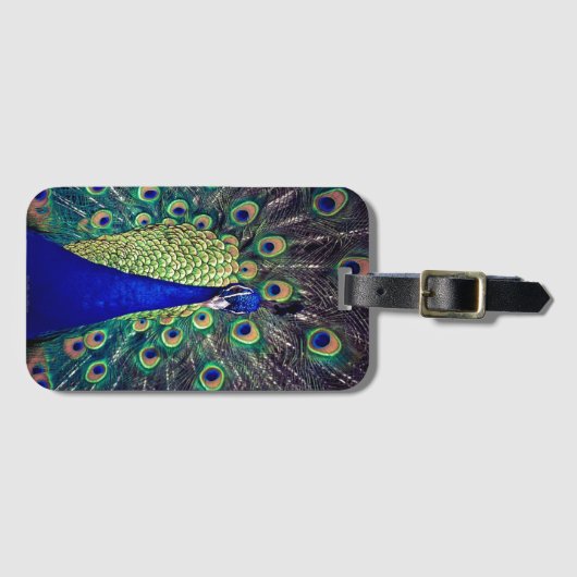Kobalt Blue Peacock Bagagelabel (Voorkant (horizontaal))