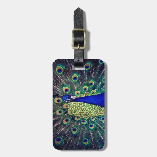 Kobalt Blue Peacock Bagagelabel (Voorkant verticaal)