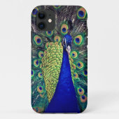 Kobalt Blue Peacock Case-Mate iPhone Case (Achterkant)
