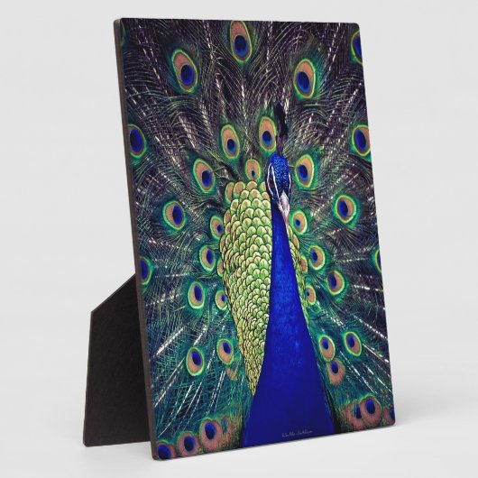 Kobalt Blue Peacock Fotoplaat (Zijkant)