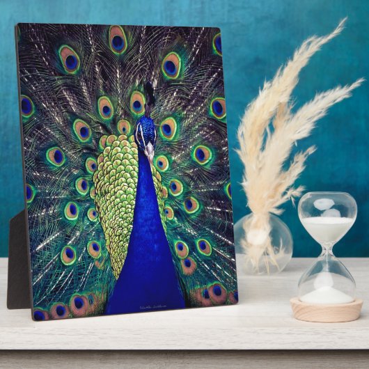 Kobalt Blue Peacock Fotoplaat (Zijkant)
