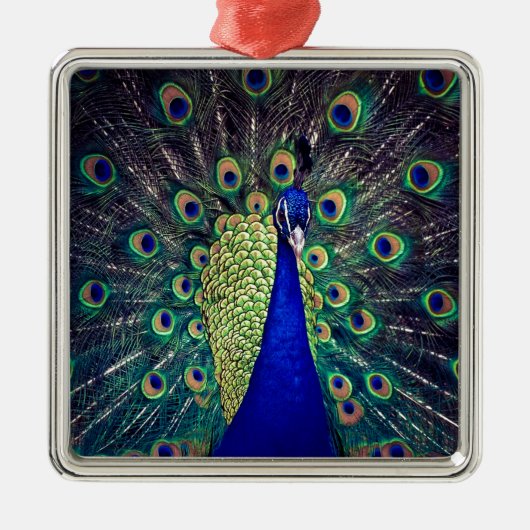 Kobalt Blue Peacock Metalen Ornament (Voorkant)