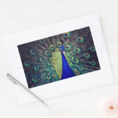 Kobalt Blue Peacock Rechthoekige Sticker (Envelop)