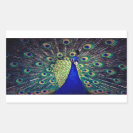 Kobalt Blue Peacock Rechthoekige Sticker