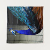 Kobalt Blue Peacock Wandkleed (Voorkant)