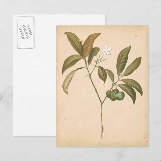 Kobalt Deco-paneel I Briefkaart (Voorkant / Achterkant)