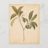 Kobalt Deco-paneel I Briefkaart (Voorkant)