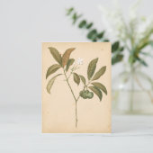 Kobalt Deco-paneel I Briefkaart (Staand voorkant)