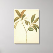 Kobalt Deco-paneel I Canvas Afdruk (Voorkant)