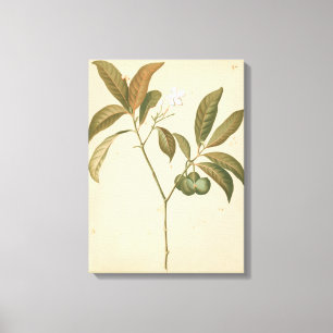 Kobalt Deco-paneel I Canvas Afdruk