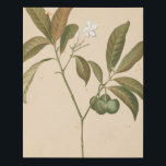Kobalt Deco-paneel I Imitatie Canvas Print<br><div class="desc">Kobalt Deco-panel I van Chariklia Zarris</div>
