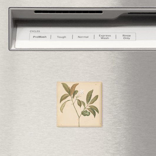 Kobalt Deco-paneel I Magneet (Insitu (Vaatwasser))