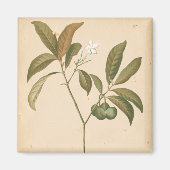 Kobalt Deco-paneel I Magneet (Voorkant)