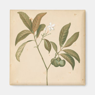 Kobalt Deco-paneel I Magneet