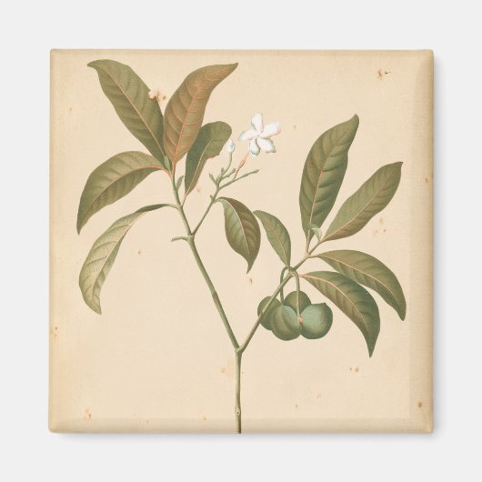 Kobalt Deco-paneel I Magneet (Voorkant)