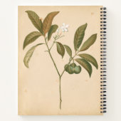 Kobalt Deco-paneel I Notitieboek (Achterkant)