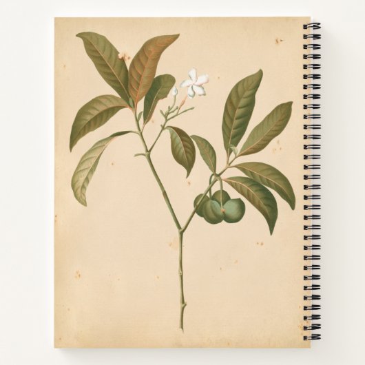 Kobalt Deco-paneel I Notitieboek (Achterkant)