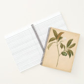 Kobalt Deco-paneel I Notitieboek (Binnen)