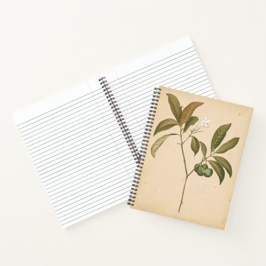 Kobalt Deco-paneel I Notitieboek (Binnen)