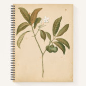 Kobalt Deco-paneel I Notitieboek (Voorkant)