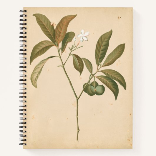 Kobalt Deco-paneel I Notitieboek (Voorkant)