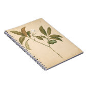 Kobalt Deco-paneel I Notitieboek (Rechterzijde)