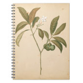 Kobalt Deco-paneel I Notitieboek (Voorkant)