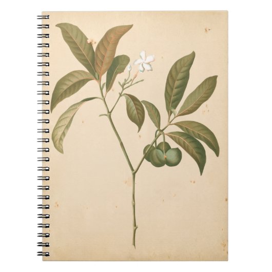 Kobalt Deco-paneel I Notitieboek (Voorkant)