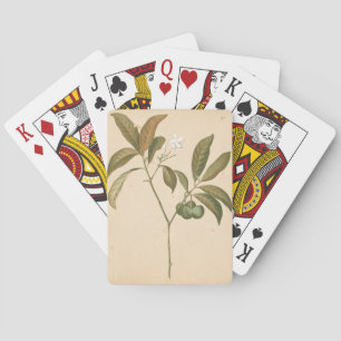 Kobalt Deco-paneel I Pokerkaarten